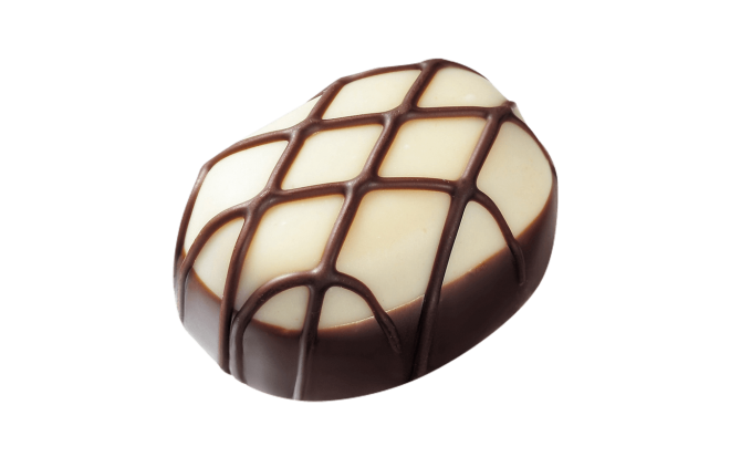 Haselnusspraline mit weiße- und dunkle Schokolade